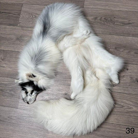 Arctic Marble fox pelt (39)