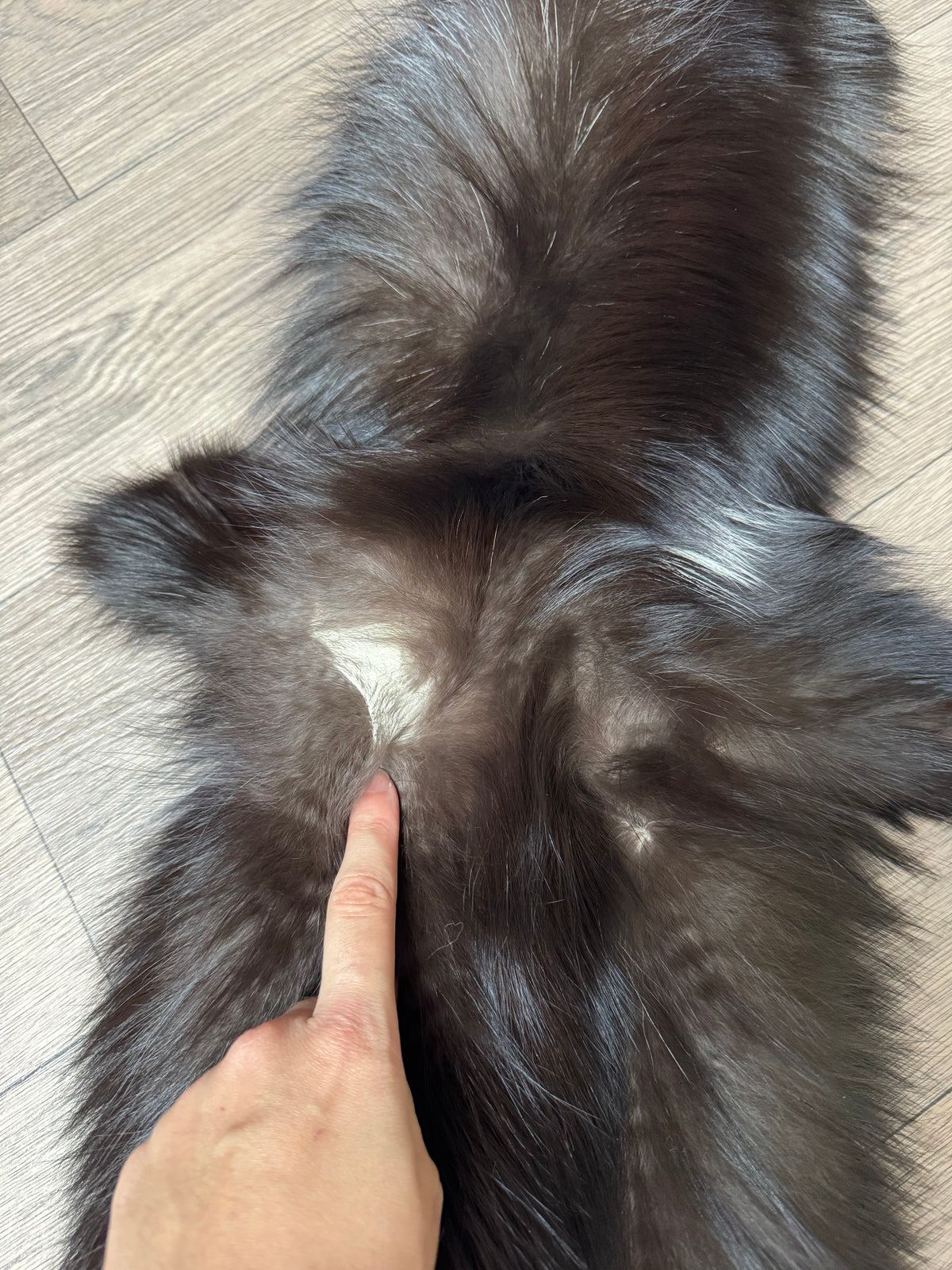 Silver fox pelt (15)