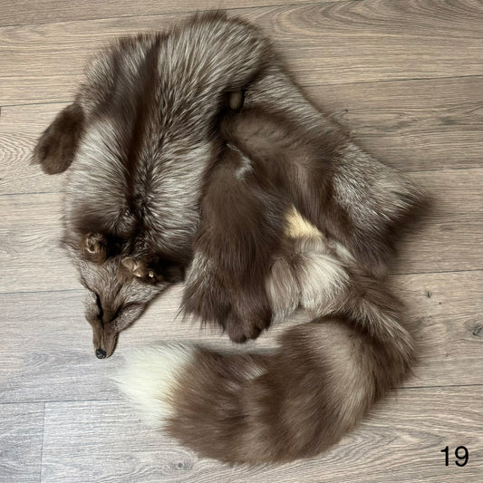 Polish Pastel fox pelt (19)