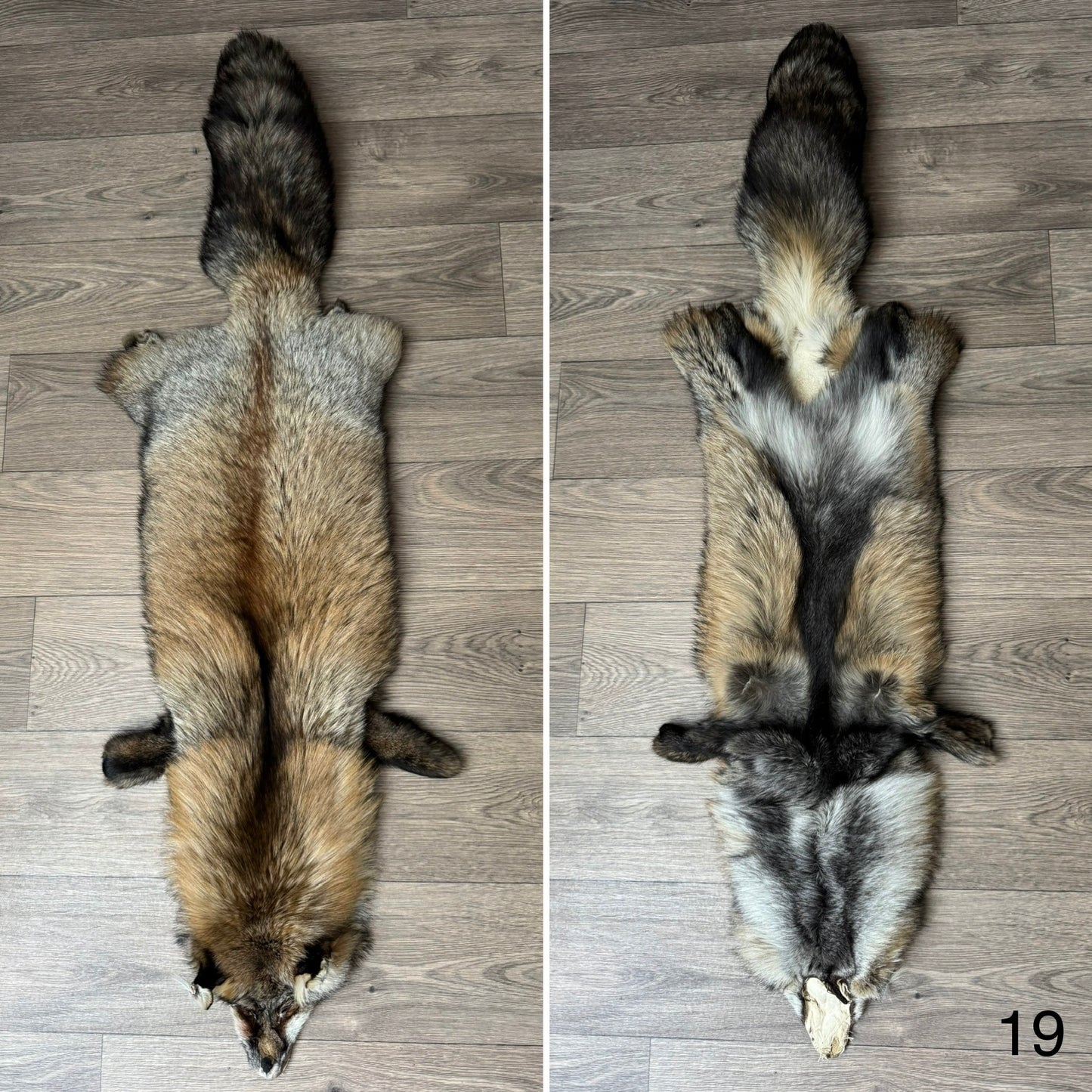 Smokey fox pelt (19)