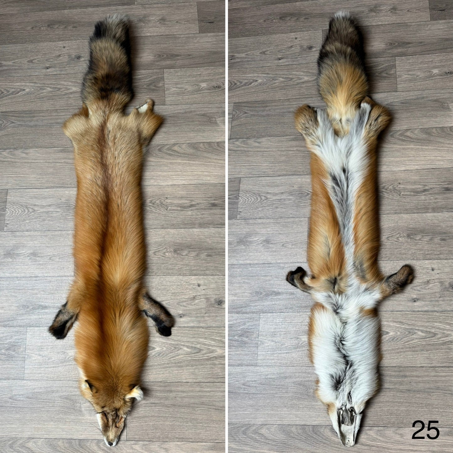 Gold fox pelt (25)