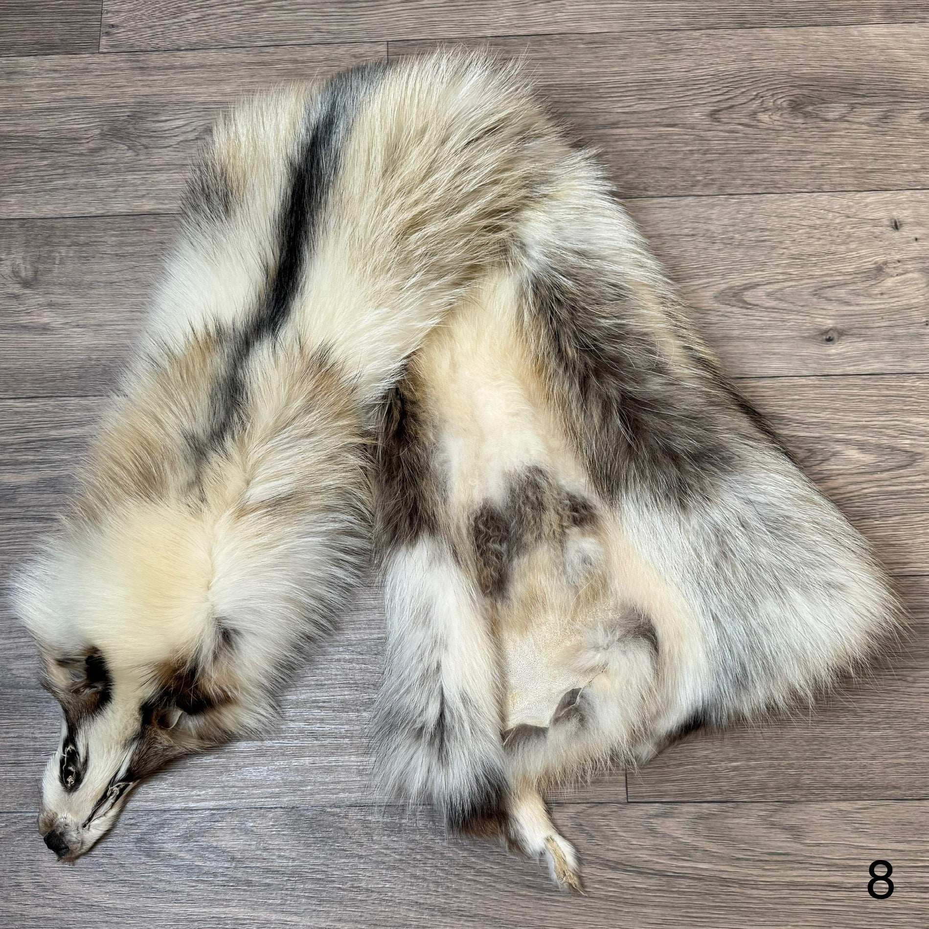 Marble tanuki pelt (8) – Orange Lion Creations