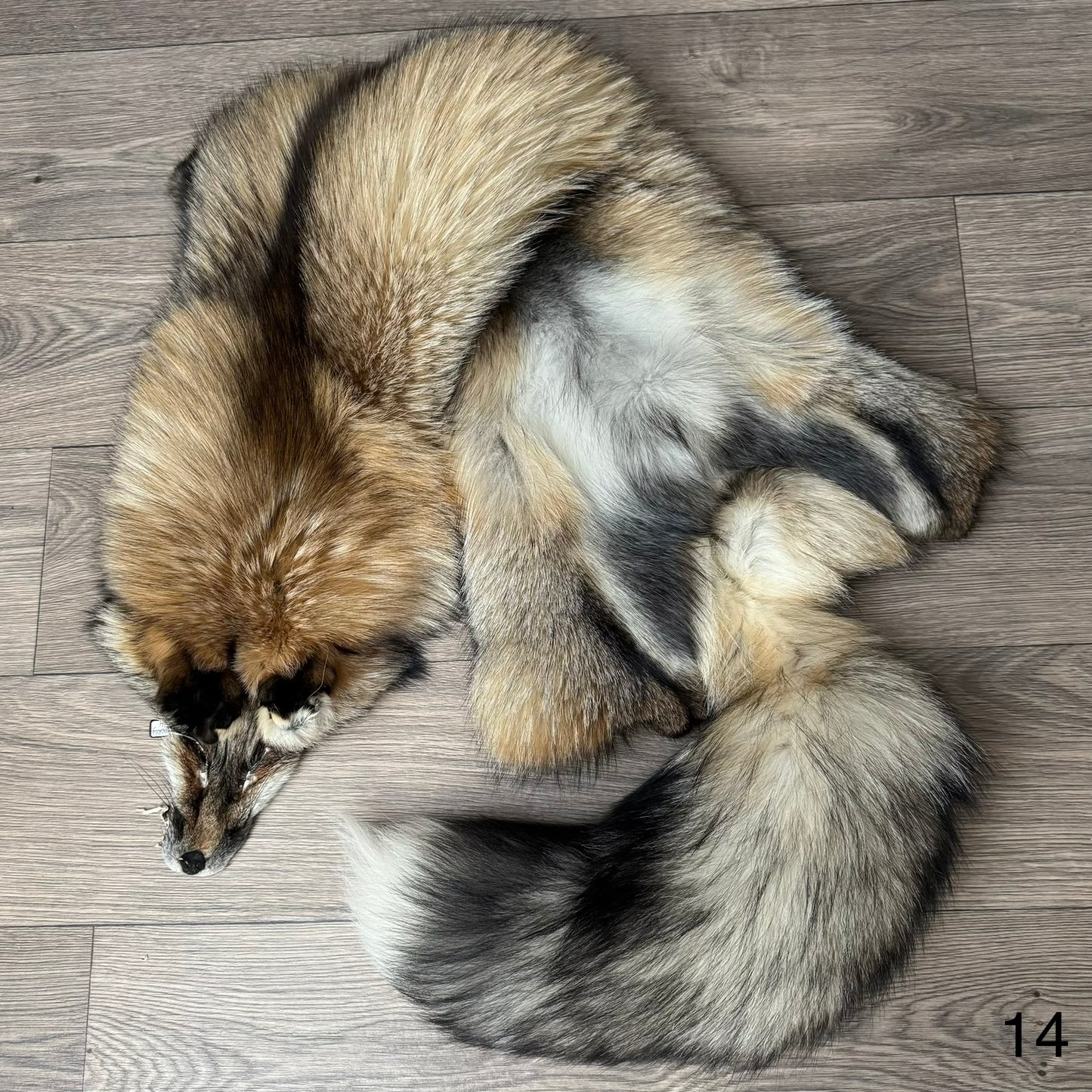 Smokey fox pelt (14)