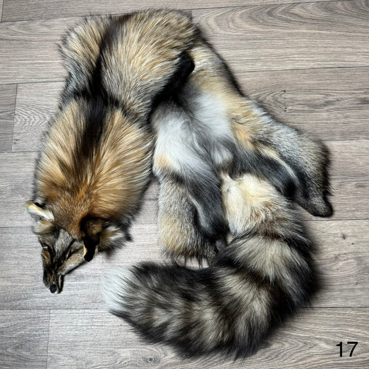 Smokey fox pelt (17)