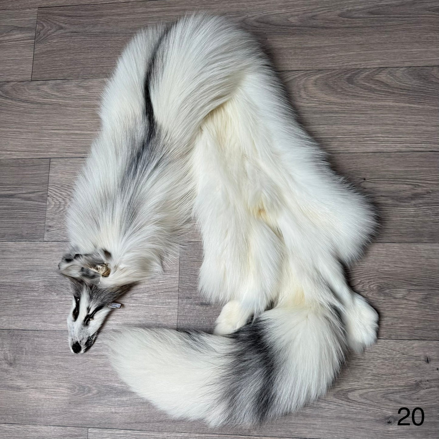 Cross Marble fox pelt (20)