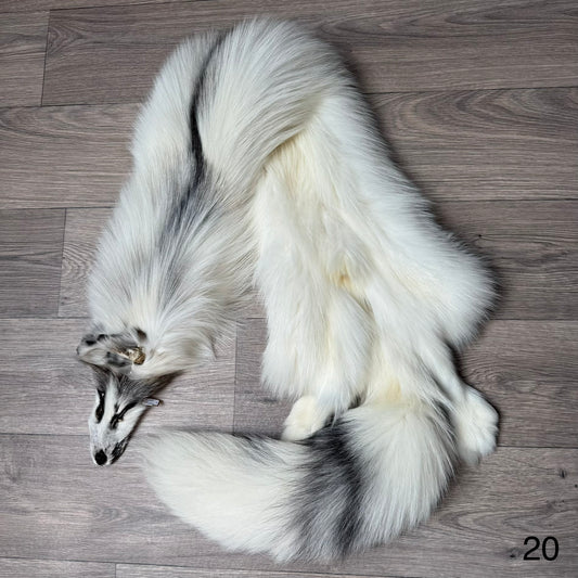 Cross Marble fox pelt (20)