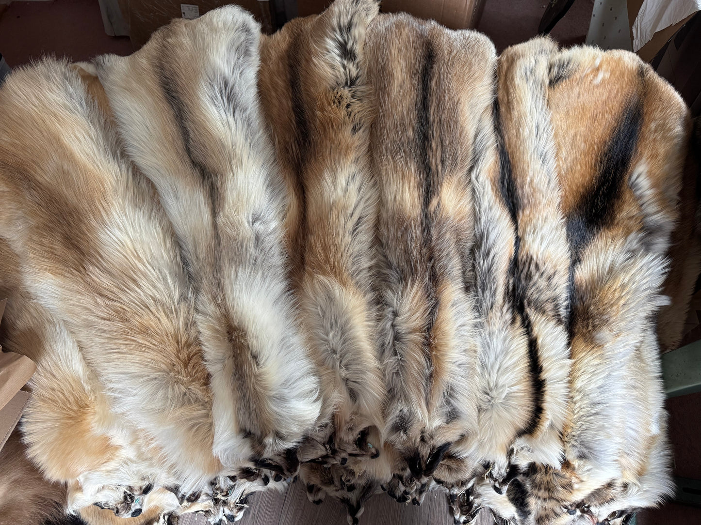 Arctic tanuki set of 2 (dark and pale)