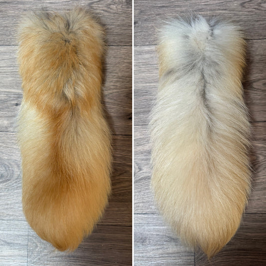 Arctic tanuki tail keychain (166)