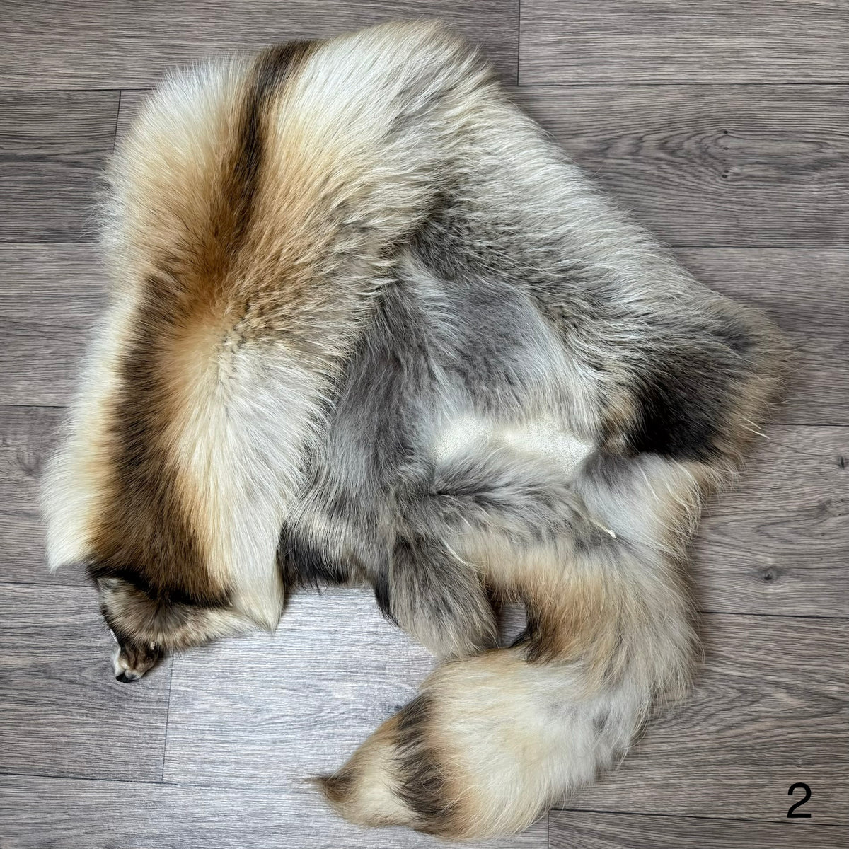 Arctic tanuki pelt (2)