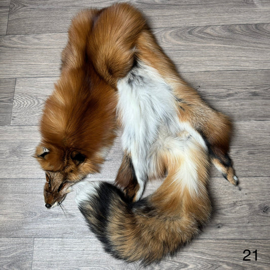 Gold fox pelt (21)
