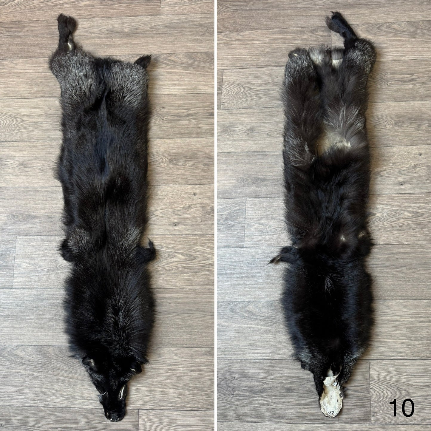 Silver fox pelt (10)