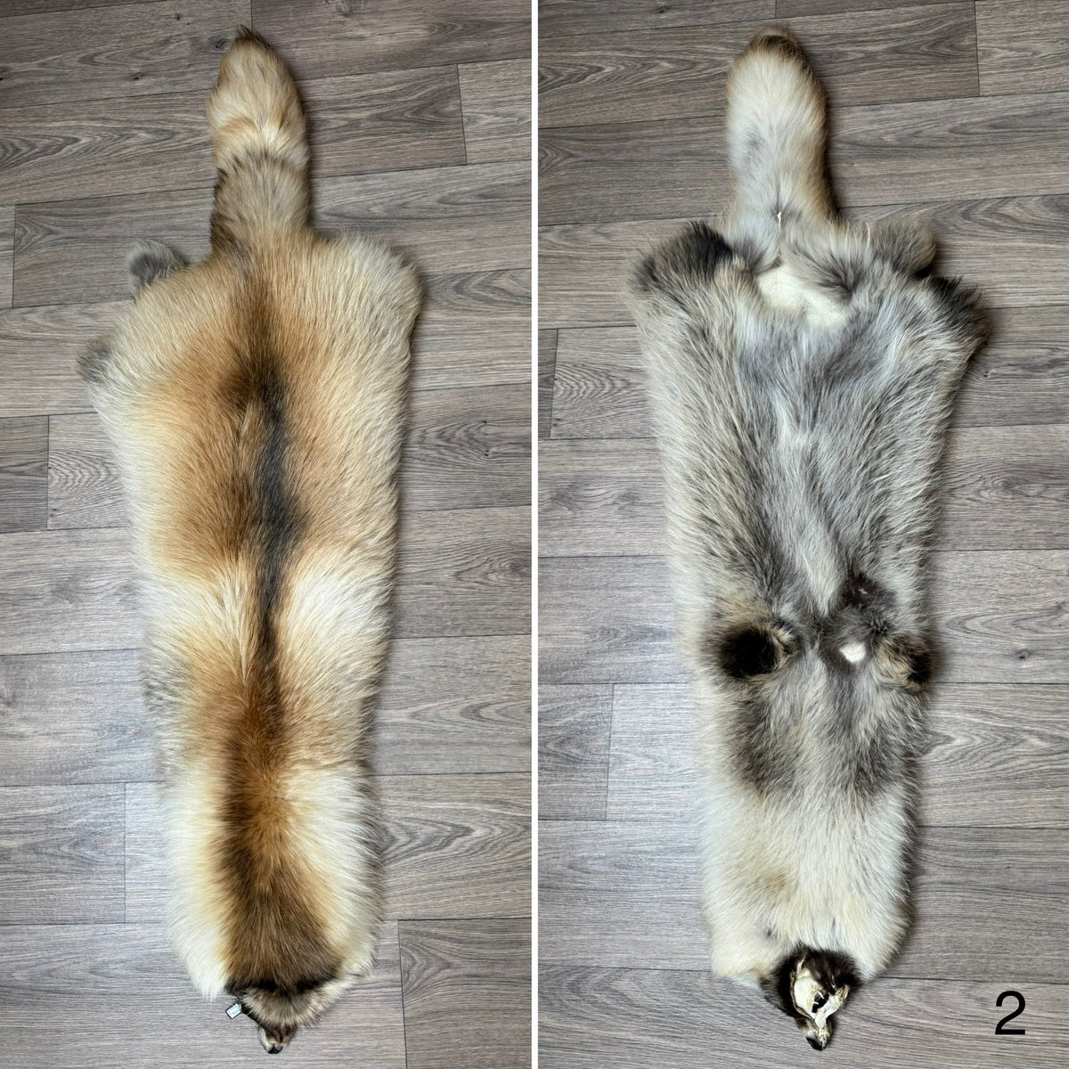 Arctic tanuki pelt (2)