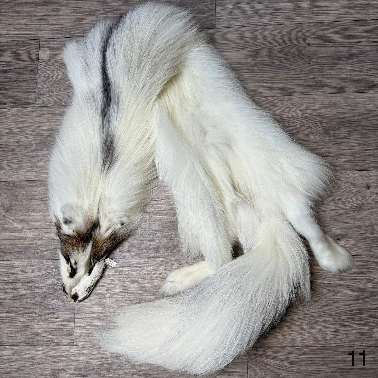 Cross Marble fox pelt (11)