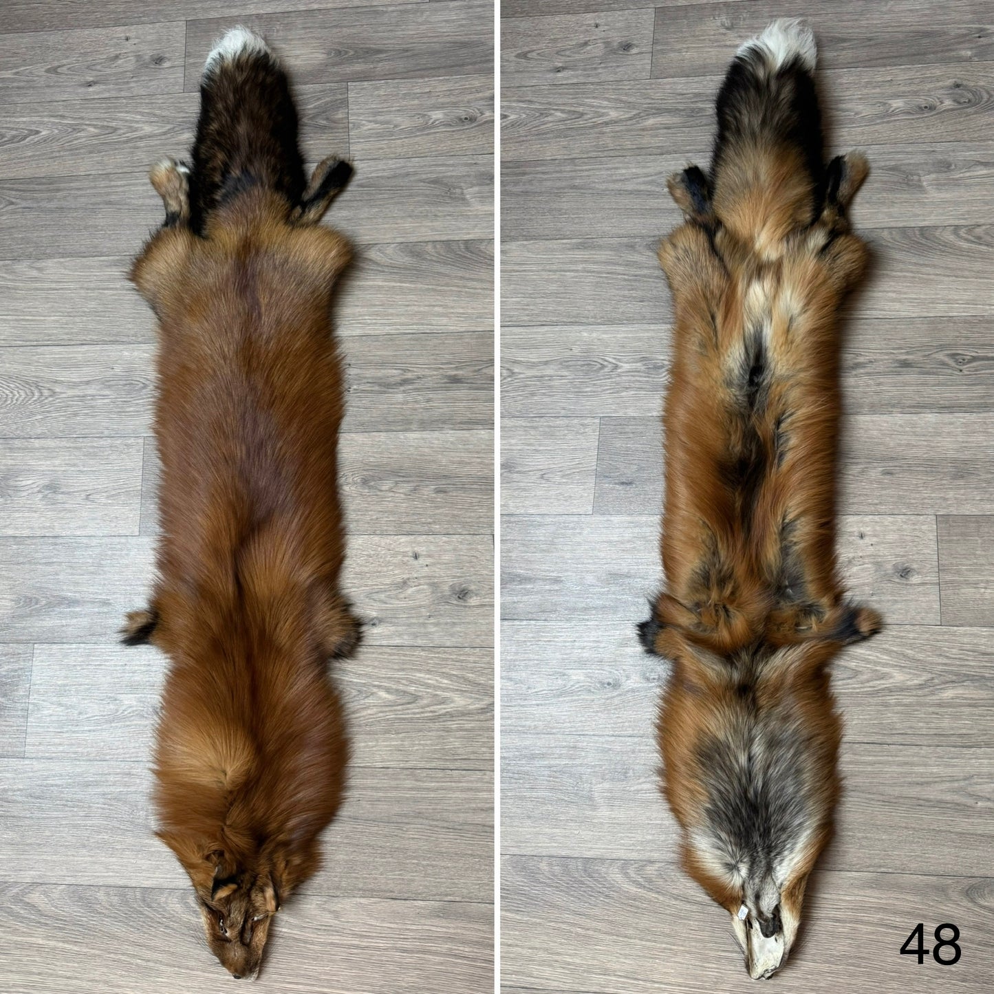 Gold fox pelt (48)