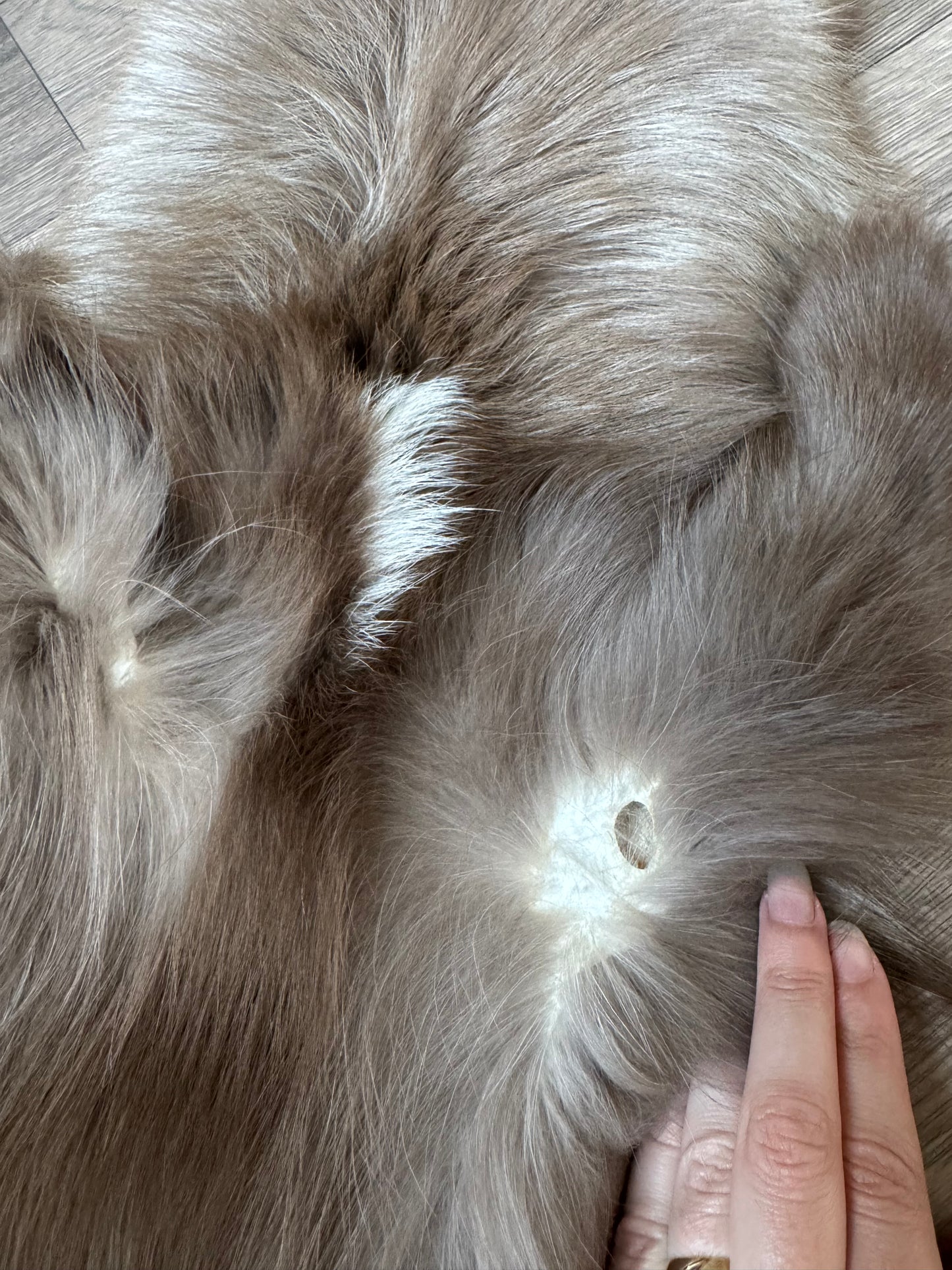 Polish Pastel fox pelt (18)