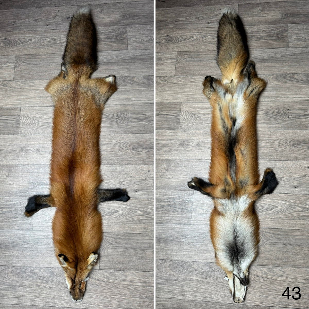 Gold fox pelt (43)