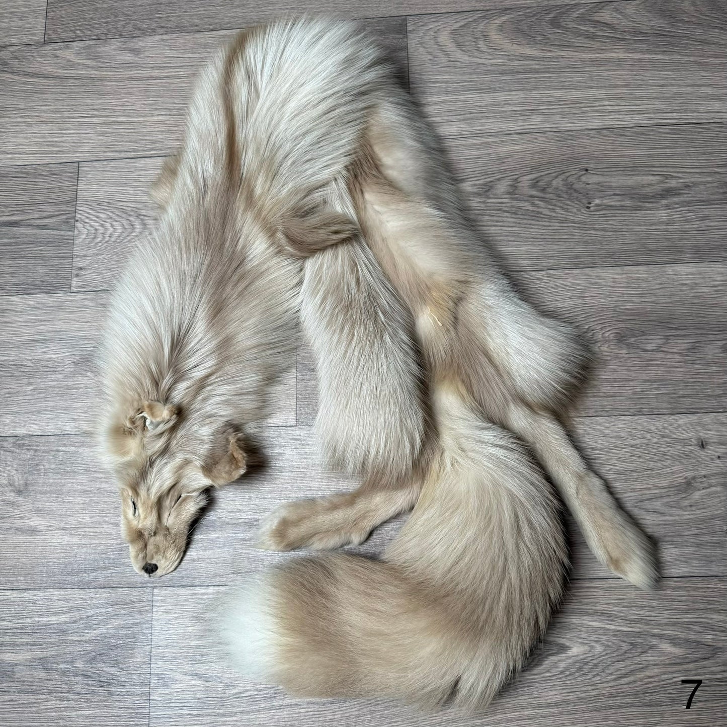 Amber fox pelt (7)