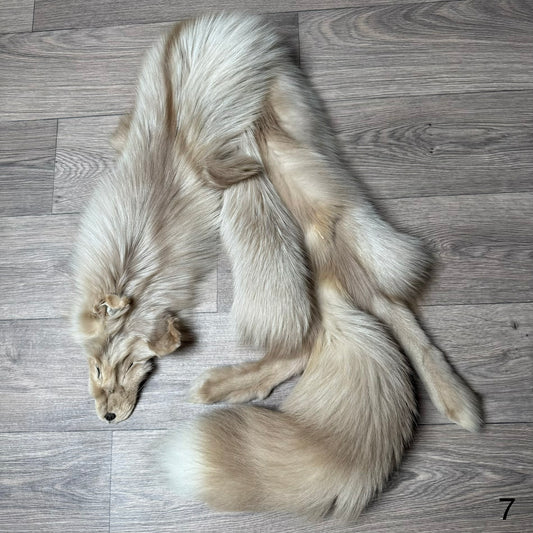 Amber fox pelt (7)