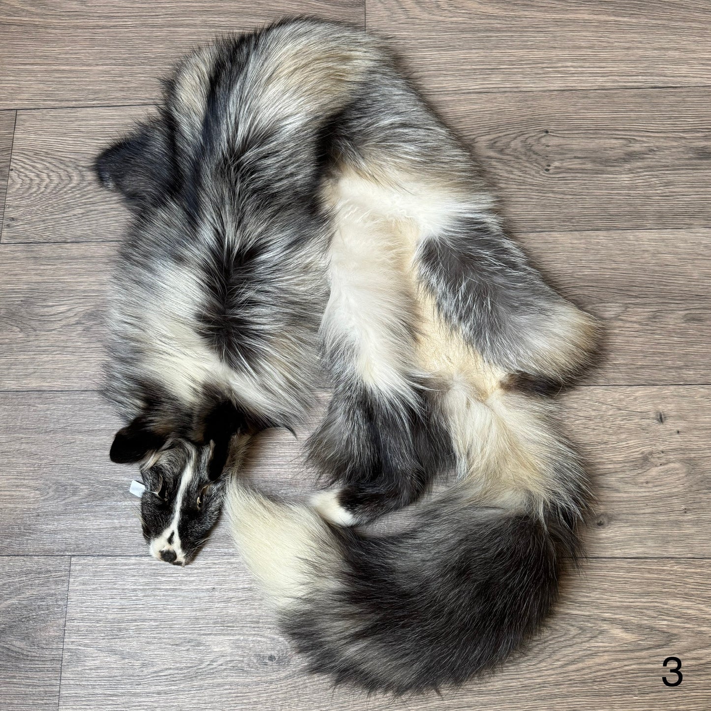 Cross Whitemark fox pelt (3)