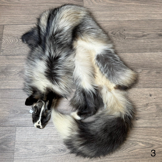 Cross Whitemark fox pelt (3)