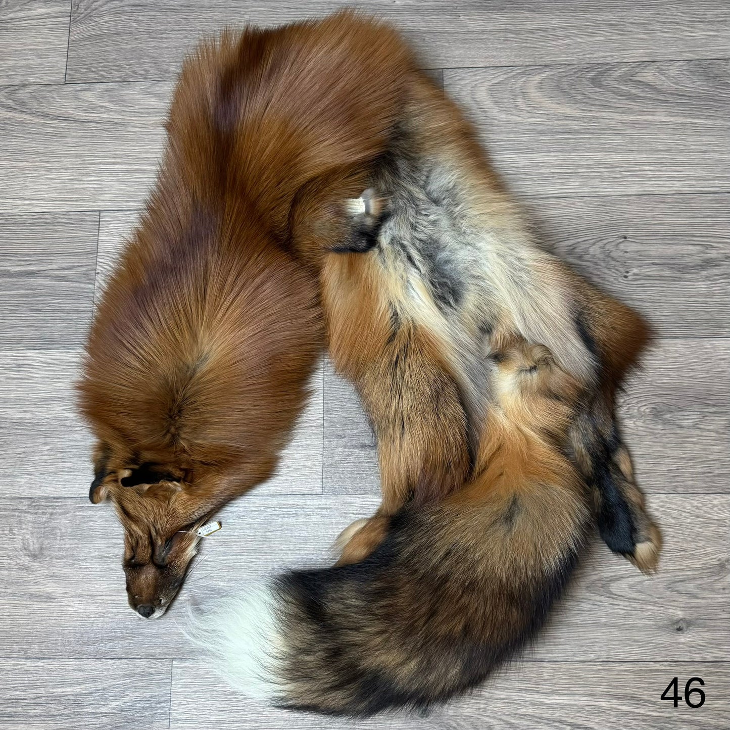 Gold fox pelt (46)