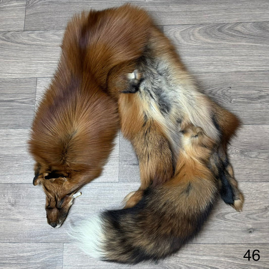 Gold fox pelt (46)