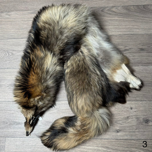 Tanuki pelt (3)