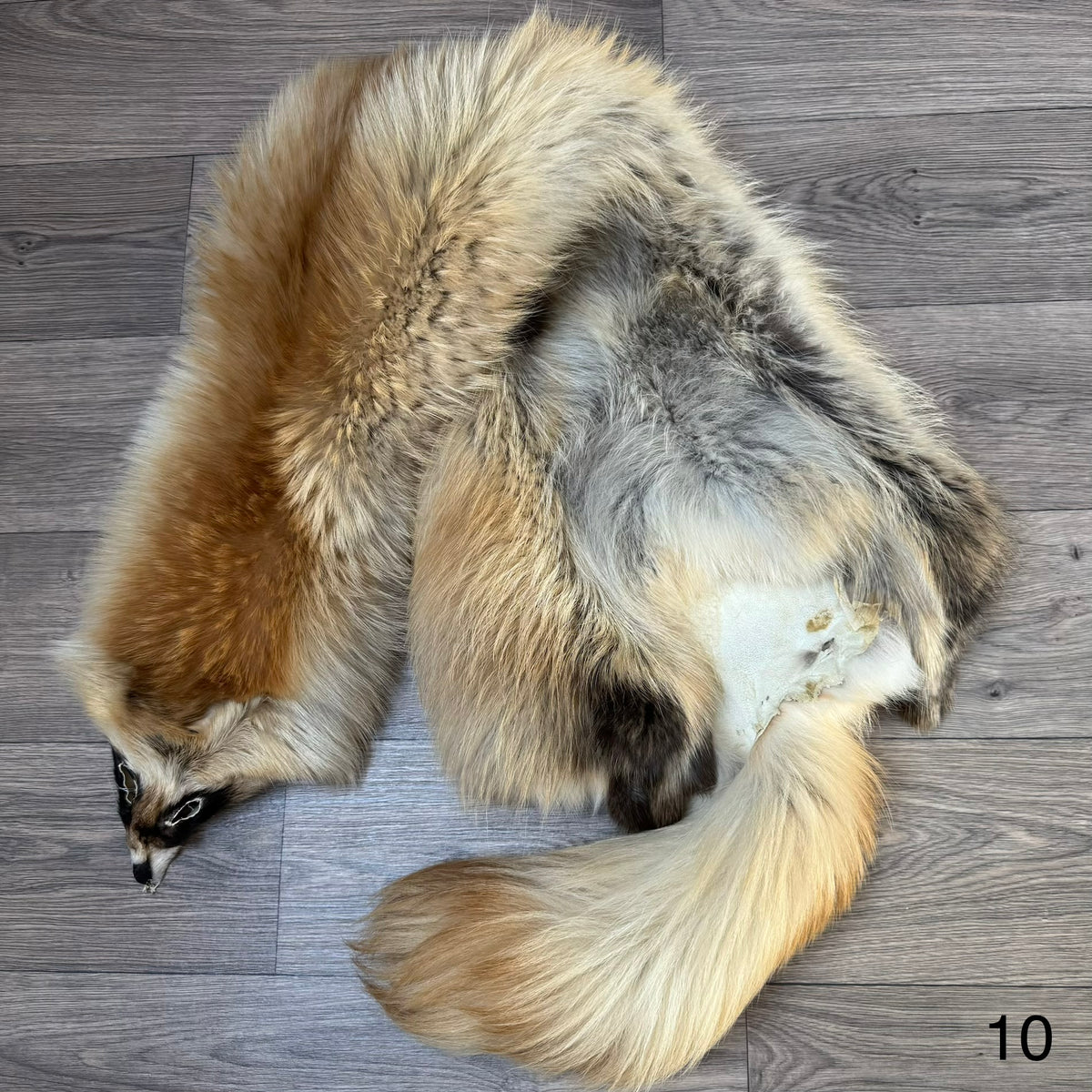 Arctic tanuki pelt (10)