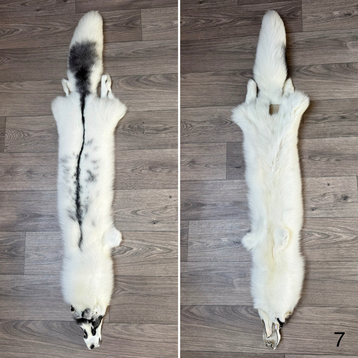 Marble Frost fox pelt (7)