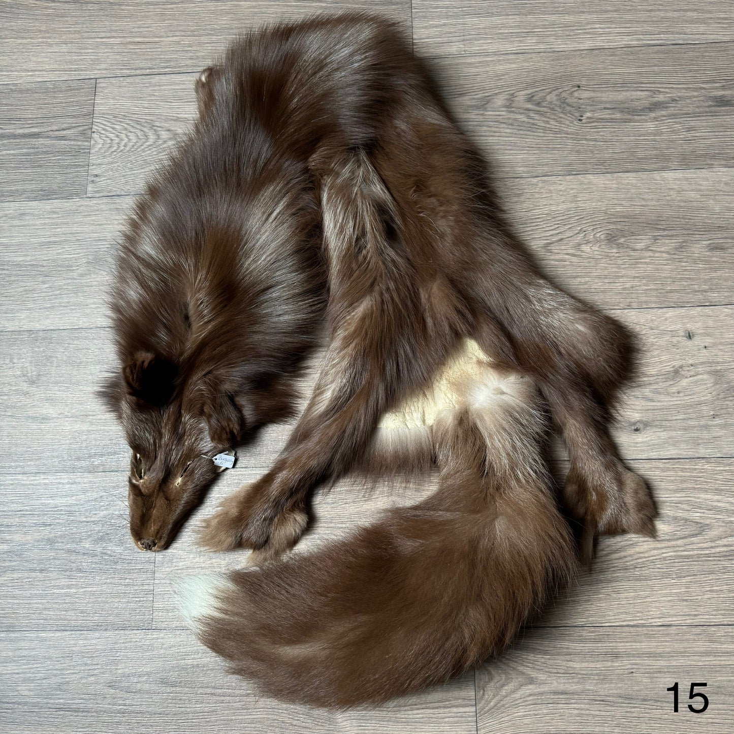 Burgundy fox pelt (15)
