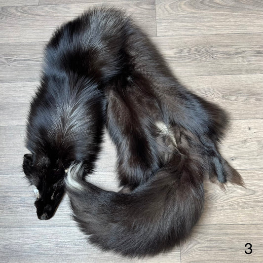 Silver fox pelt (3)