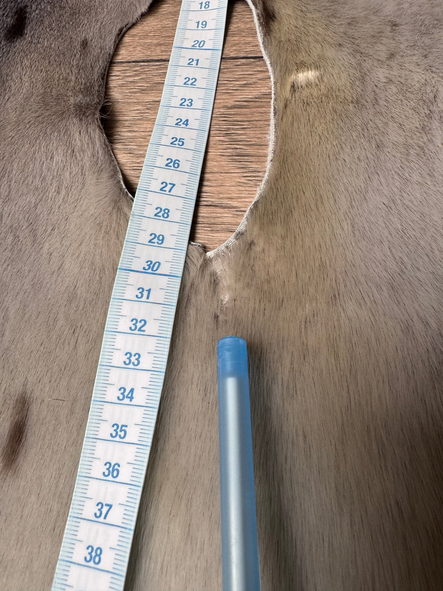Harp seal skin (3)