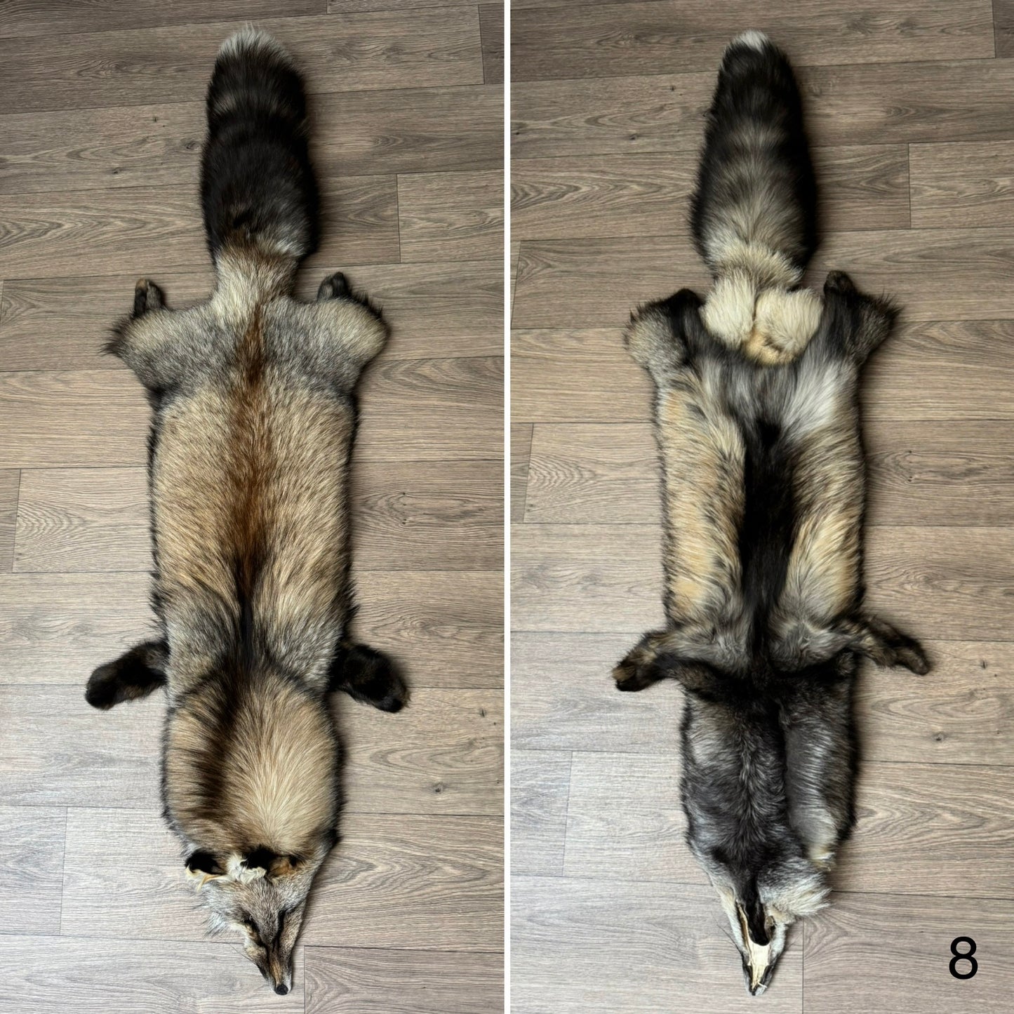 Smokey fox pelt (8)