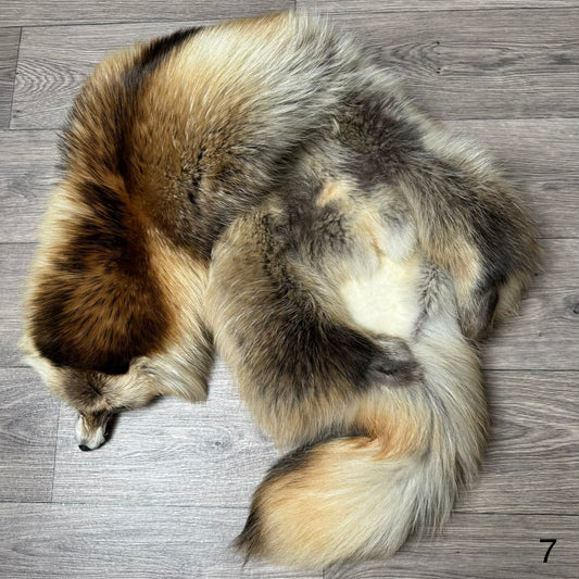 Arctic tanuki pelt (7)