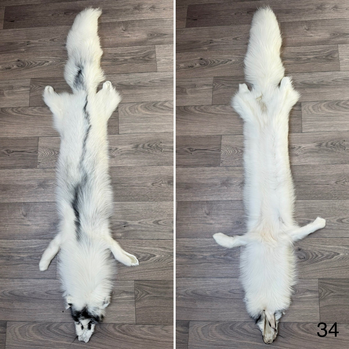 Arctic Marble fox pelt (34)