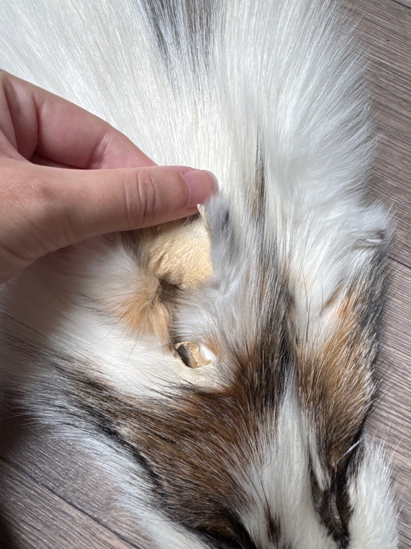 Cross Marble fox pelt (11)