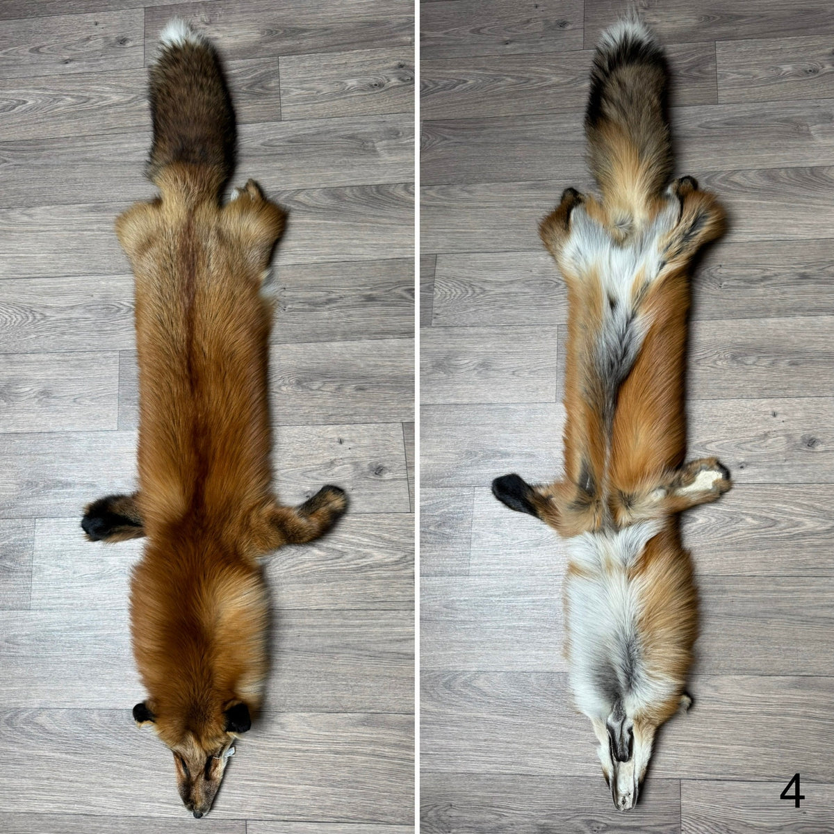 Gold fox pelt (4)