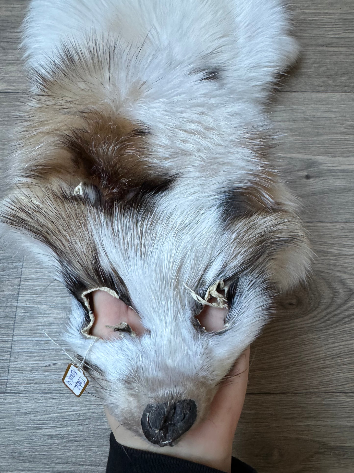 Marble tanuki pelt (4)