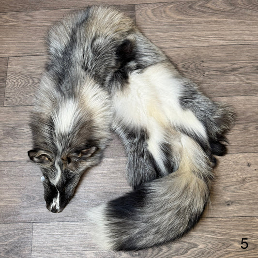 Cross Whitemark fox pelt (5)
