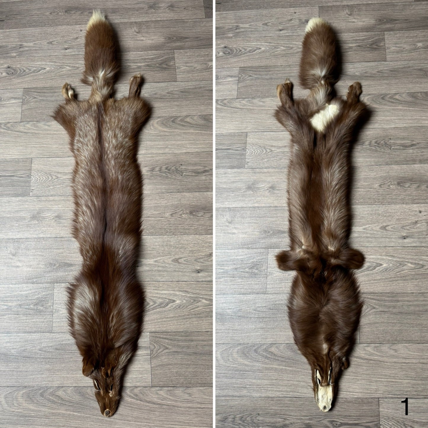 Burgundy fox pelt (1)