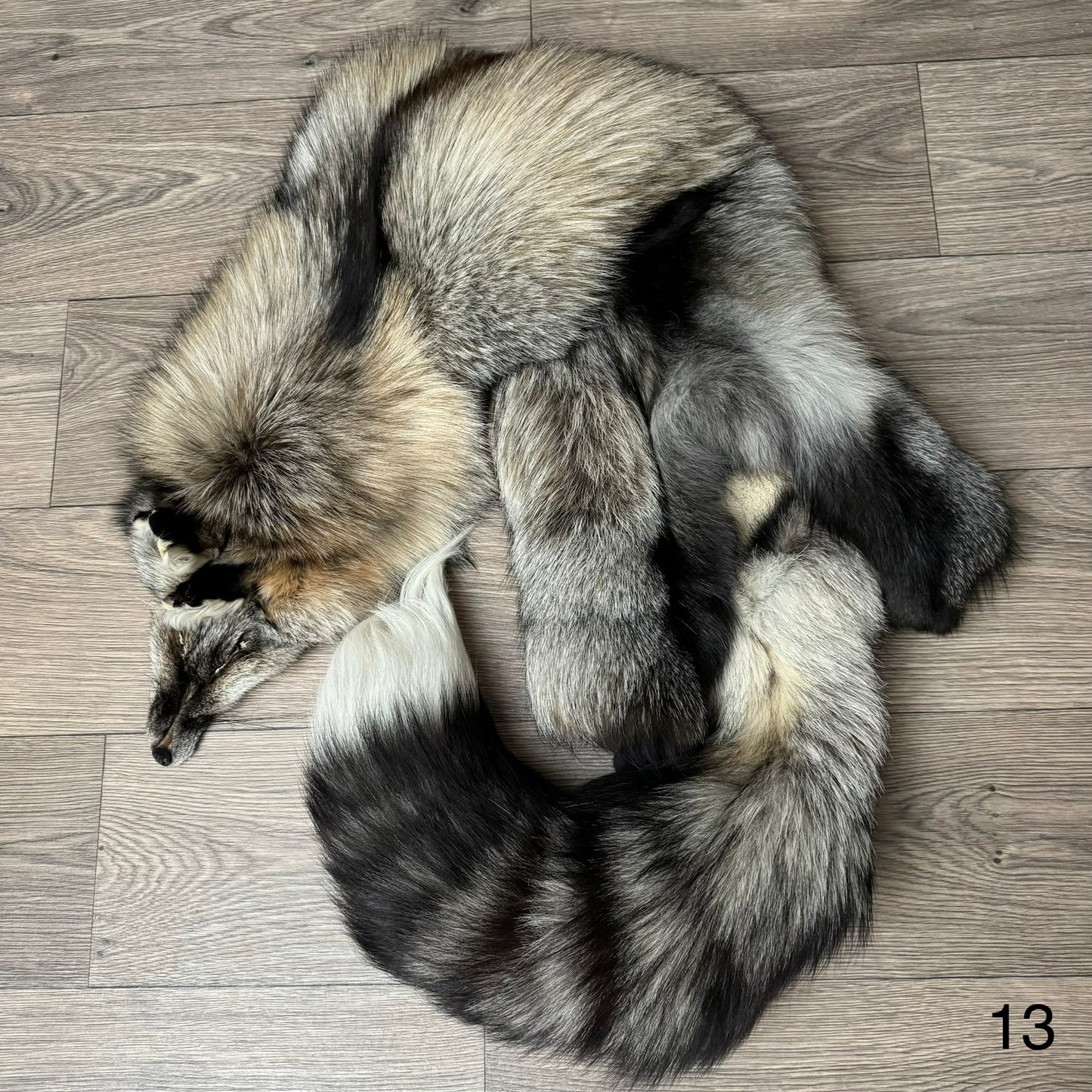 Smokey fox pelt (13)