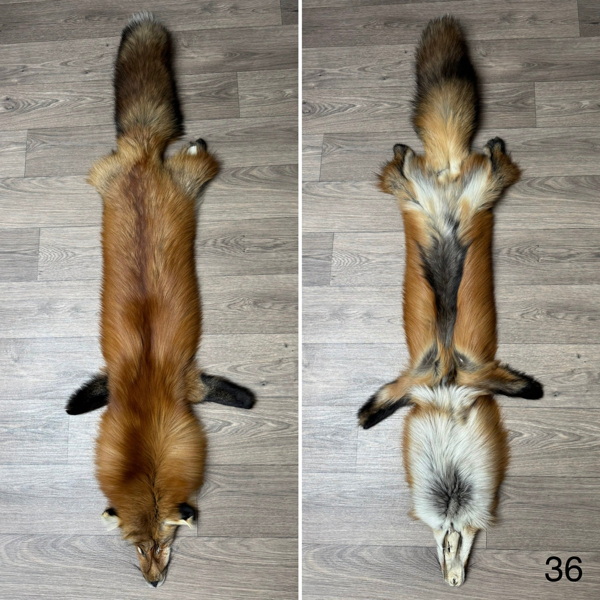Gold fox pelt (36)