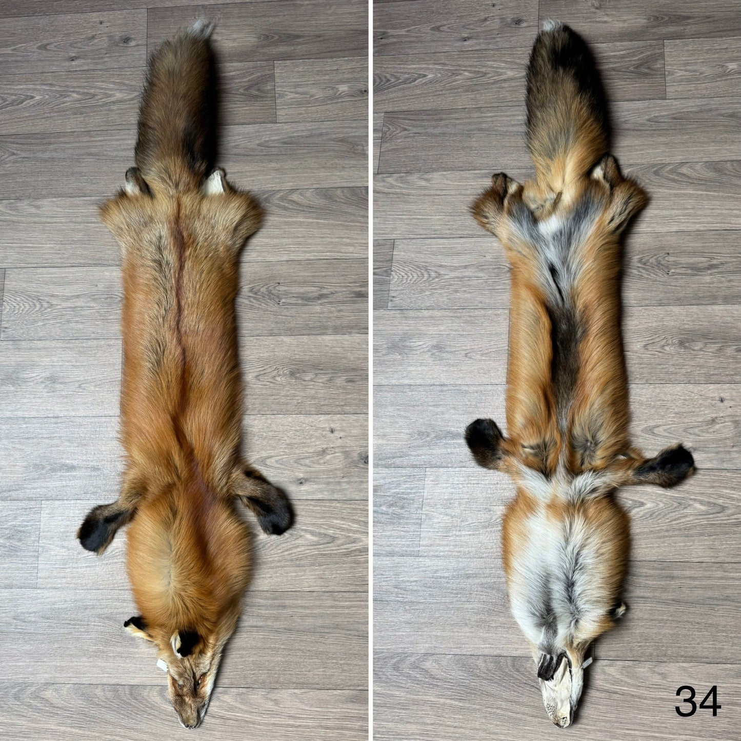 Gold fox pelt (34)