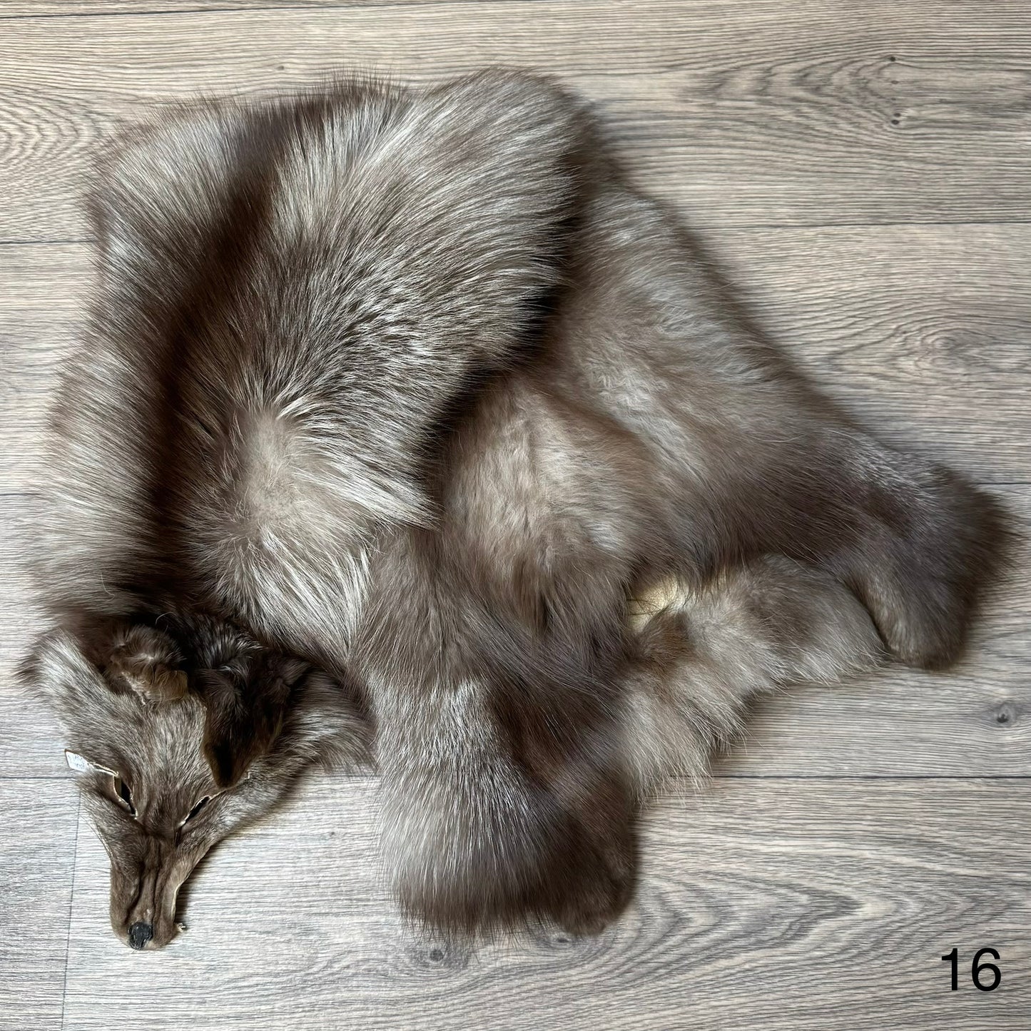 Polish Pastel fox pelt (16)