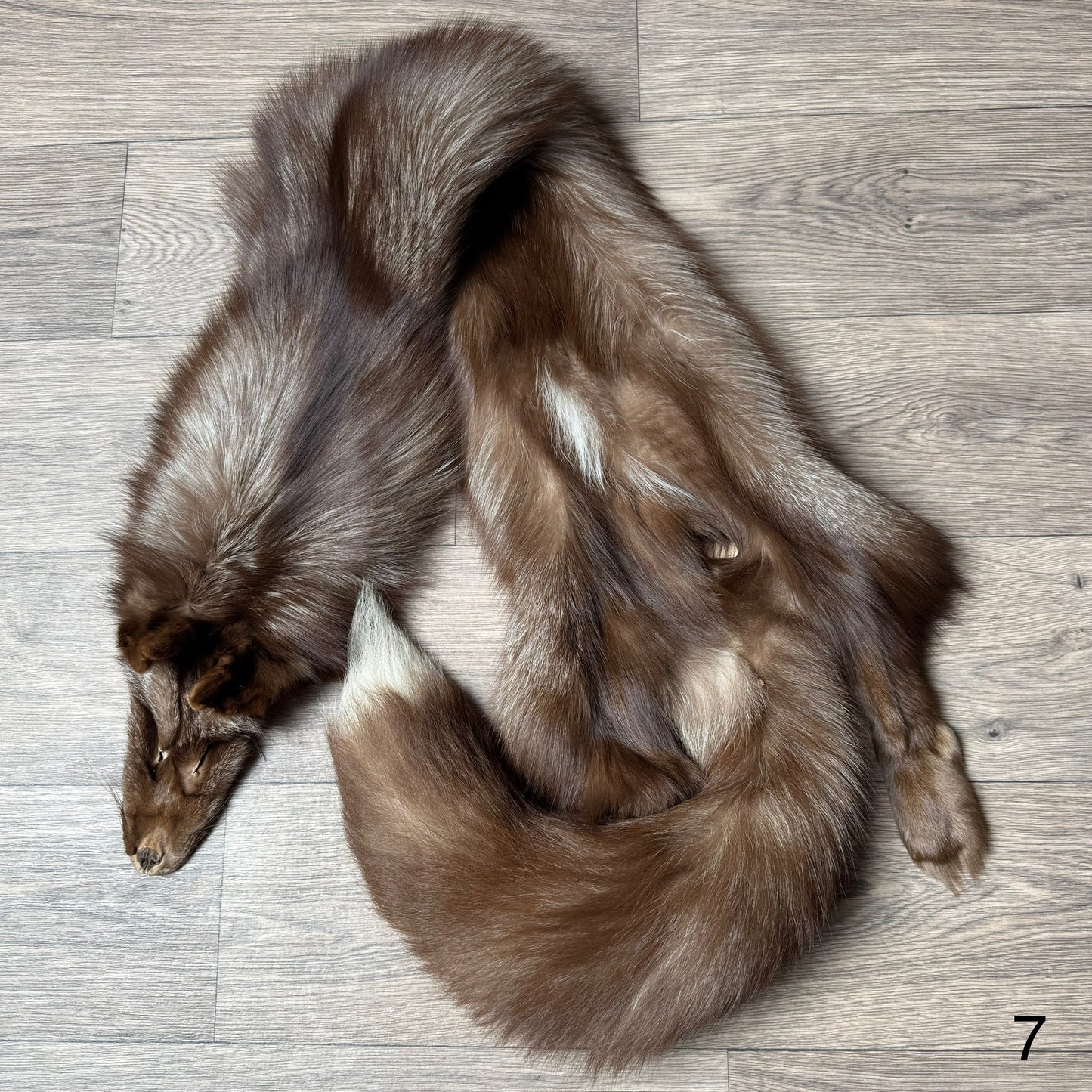 Burgundy fox pelt (7)