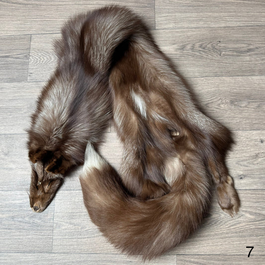 Burgundy fox pelt (7)