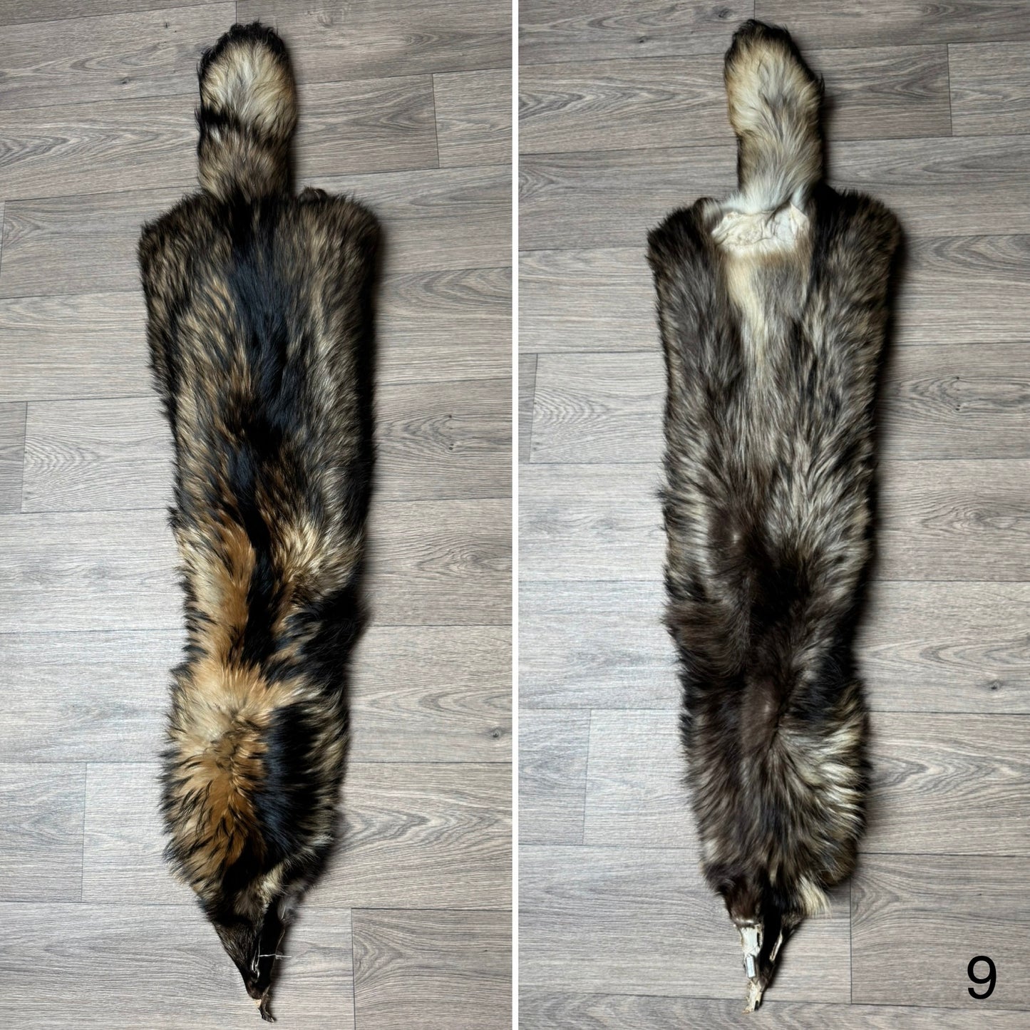 Tanuki pelt (9)
