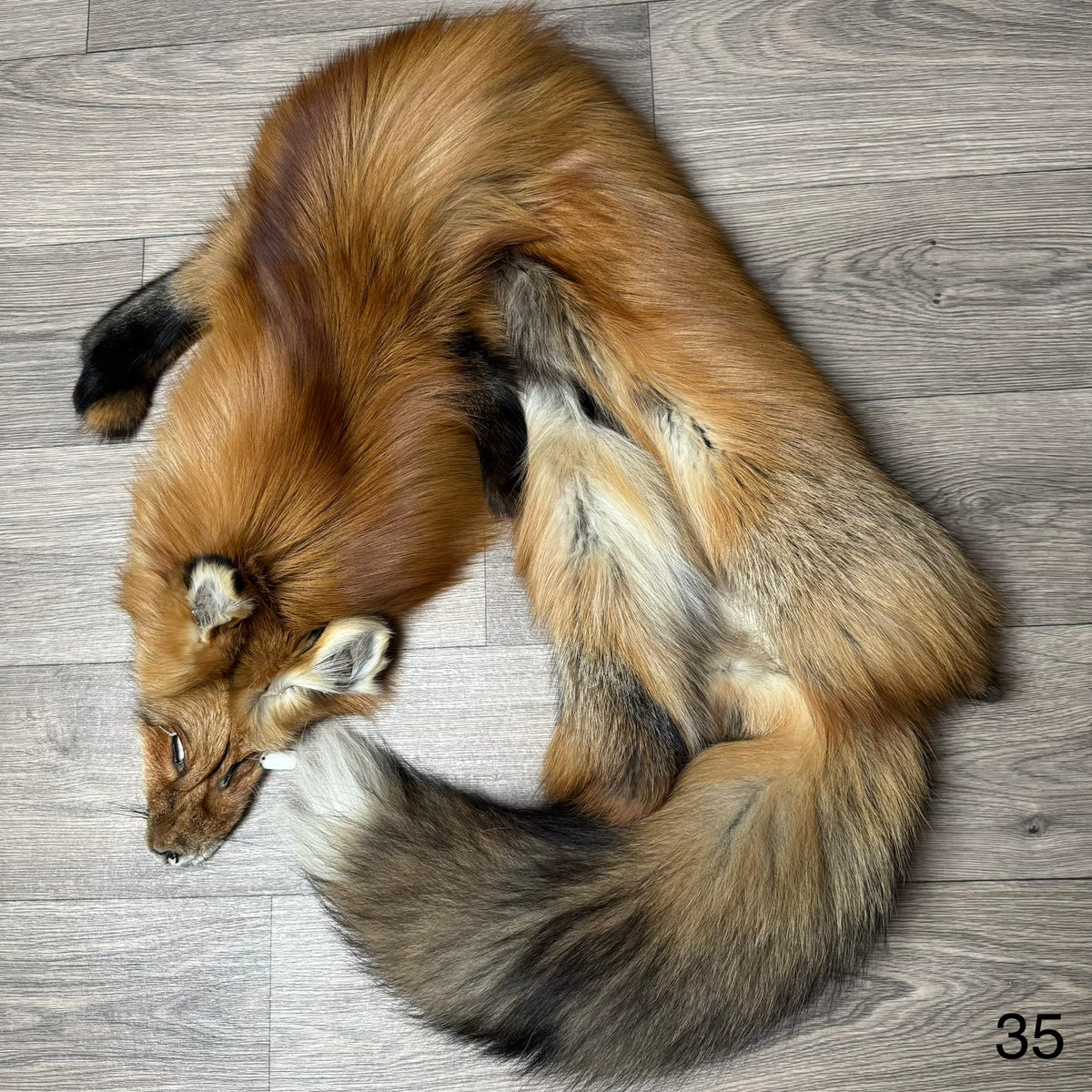 Gold fox pelt (35)