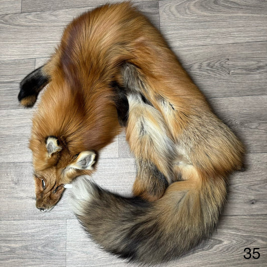 Gold fox pelt (35)