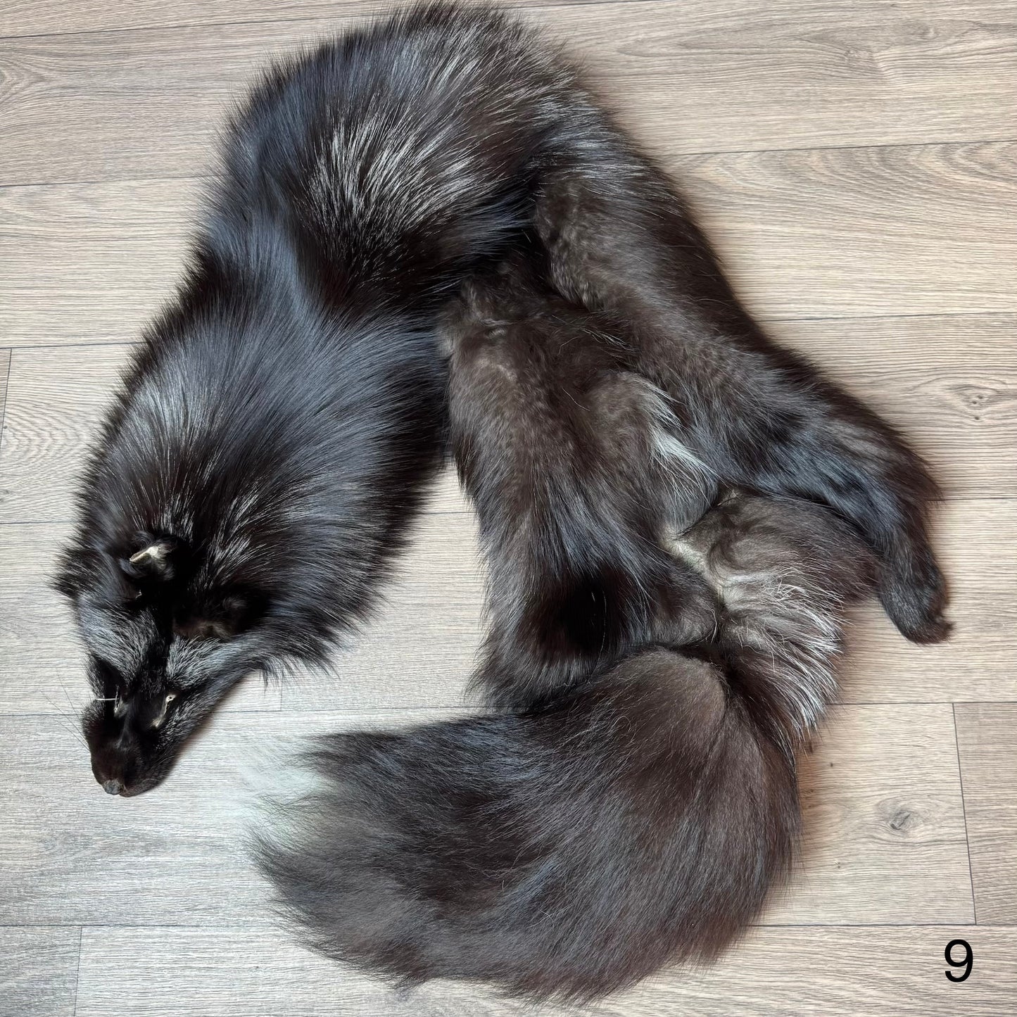 Silver fox pelt (9)